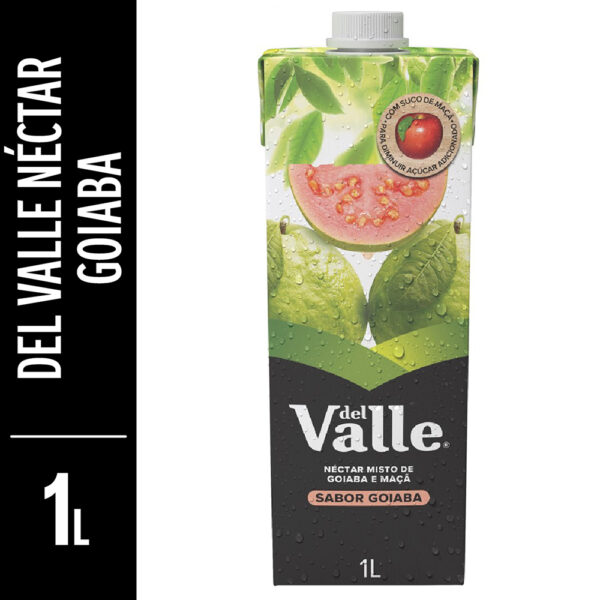 DEL VALLE GOIABA 1L