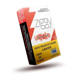 Combo Ziggy Laranjola Tropical