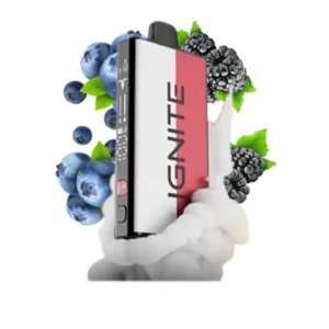 Pod Ignite Mix 40.000 Puffs Blueberry Ice / Raspberry Blackberry