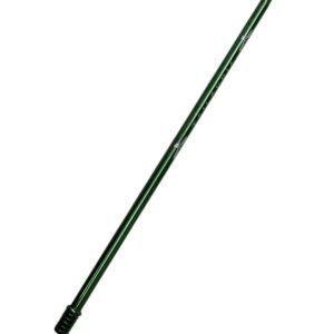 Piteira Tailandia Verde